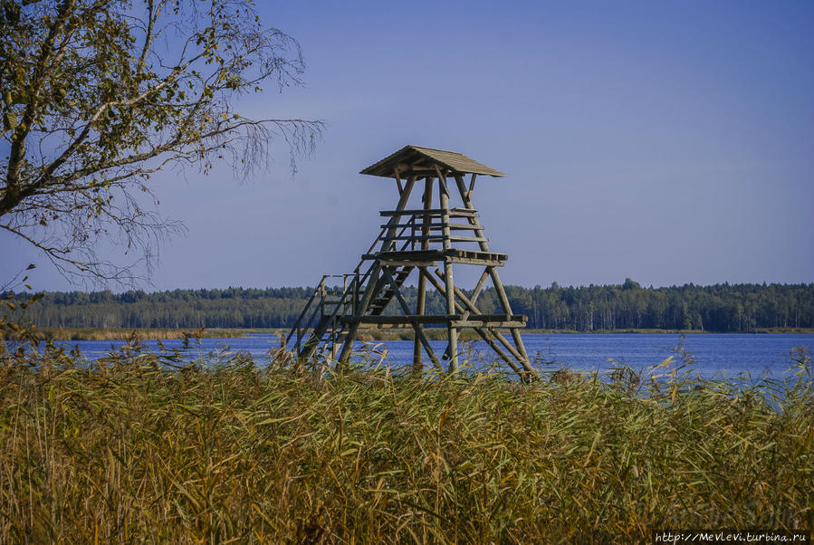 Озеро Слокас Кемери, Латвия