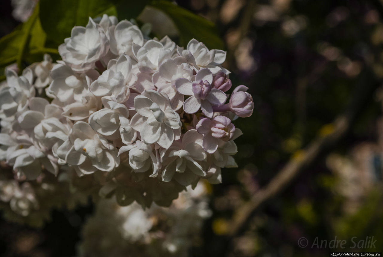 В воскресенье у Оперного Рига, Латвия