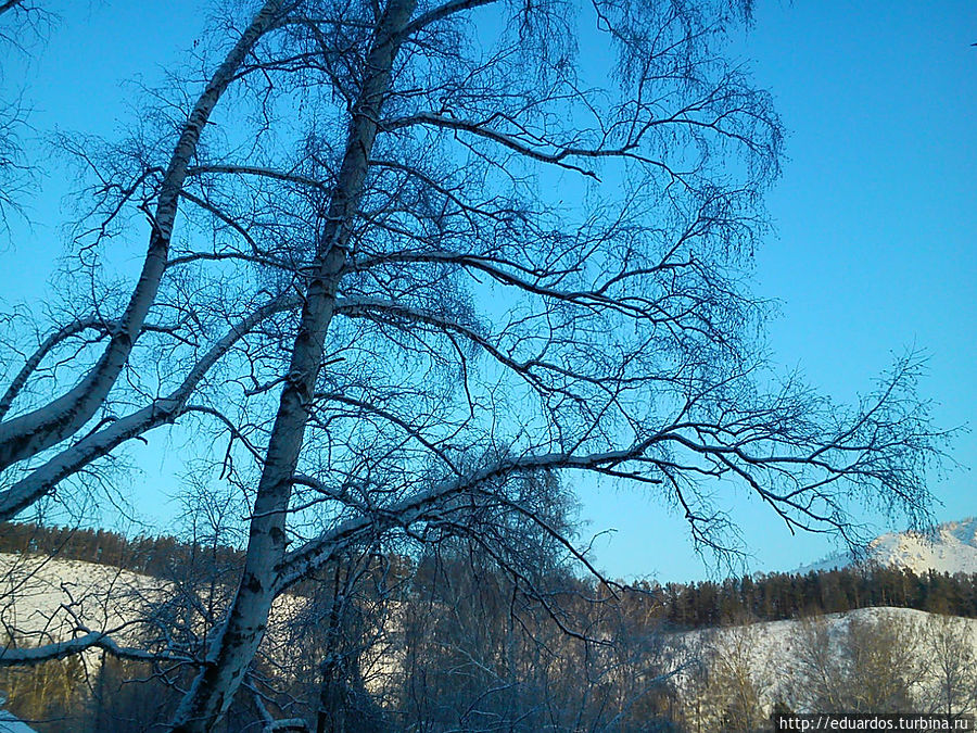 С наступившим вас 2013 !!!