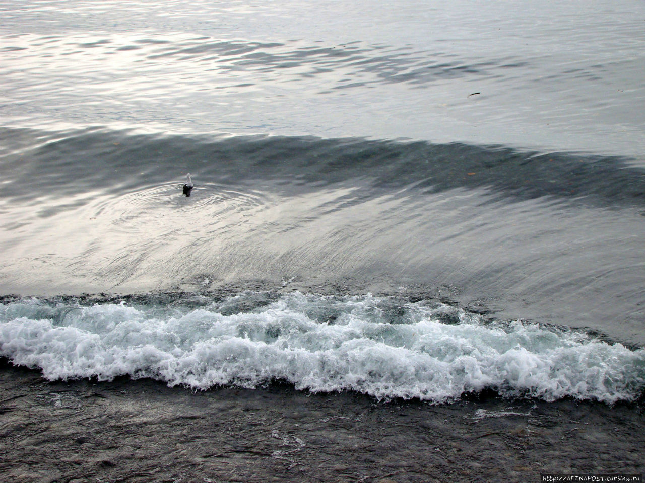 Озеро в декабре Лозанна, Швейцария