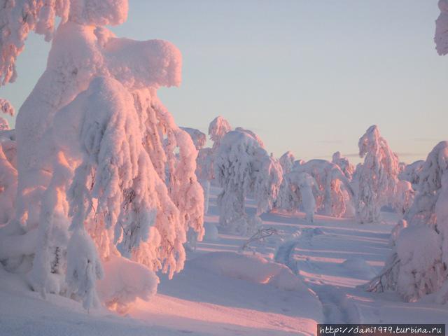 Божественная красота зимней Лаппландии Саариселькя, Финляндия
