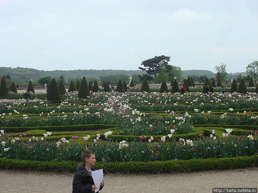 Последний взгляд на парк до начала экускурсии Версаль, Франция