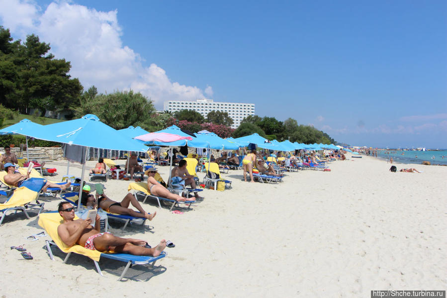 наш пляж, зонтик и два лежака — 8 евро, возле бассейном бесплатно Каллифея, Греция