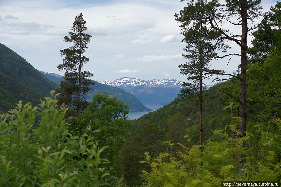 Прогулка по долине Husedalen Лофтхус, Норвегия