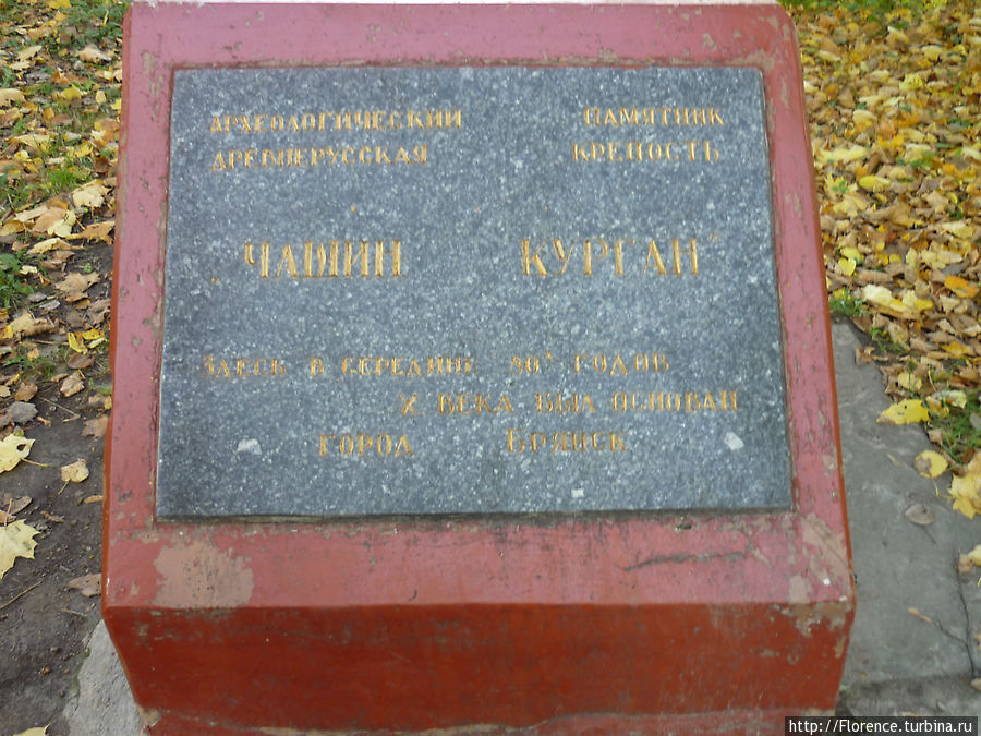 Чашин курган брянск карта