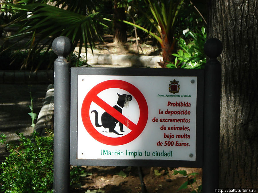 Если коротко, то покакать собачке стоит 500 евро