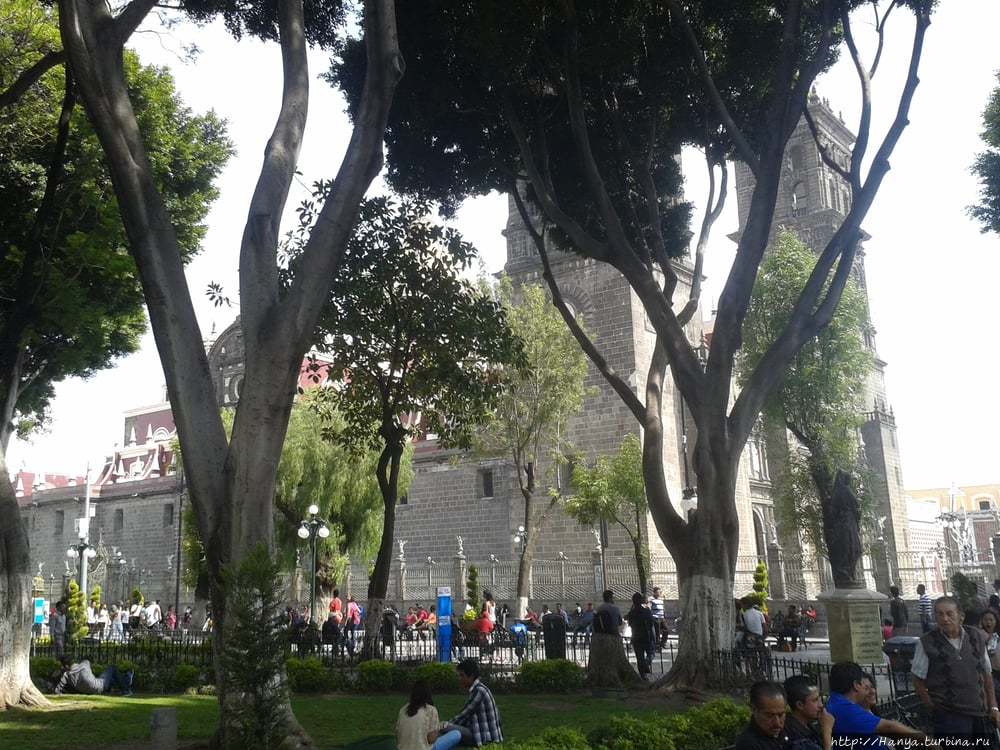 Из интернета