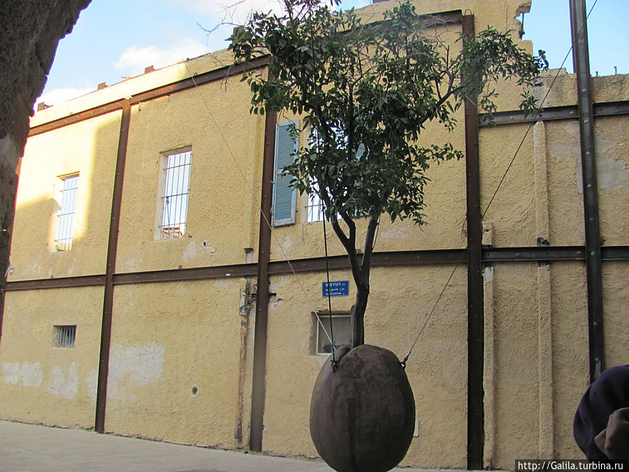Символ Яффа — апельсиновое дерево подвешенное в горшке. Яффо, Израиль