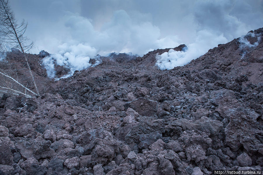 Извержение вулкана Толбачик. Часть 1. Первые впечатления Толбачинский дол (вулкан Острый Толбачик 3682м), Россия