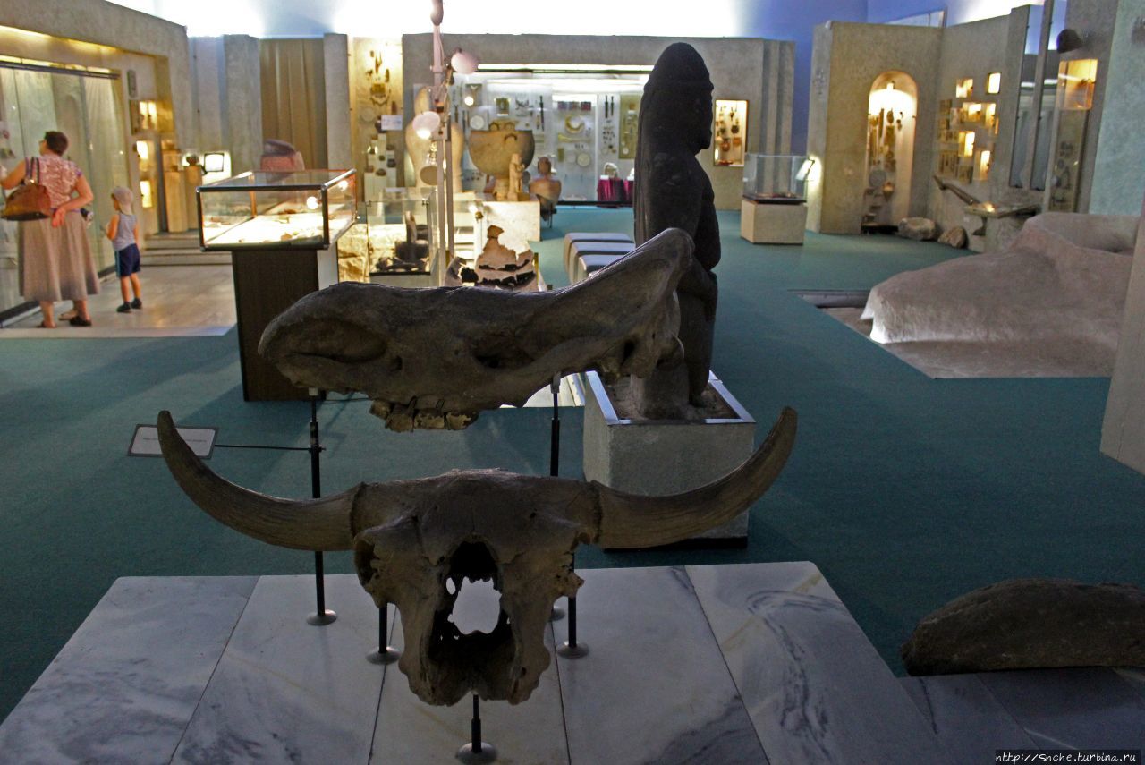 Исторический музей в Днепре. Постоянная экспозиция