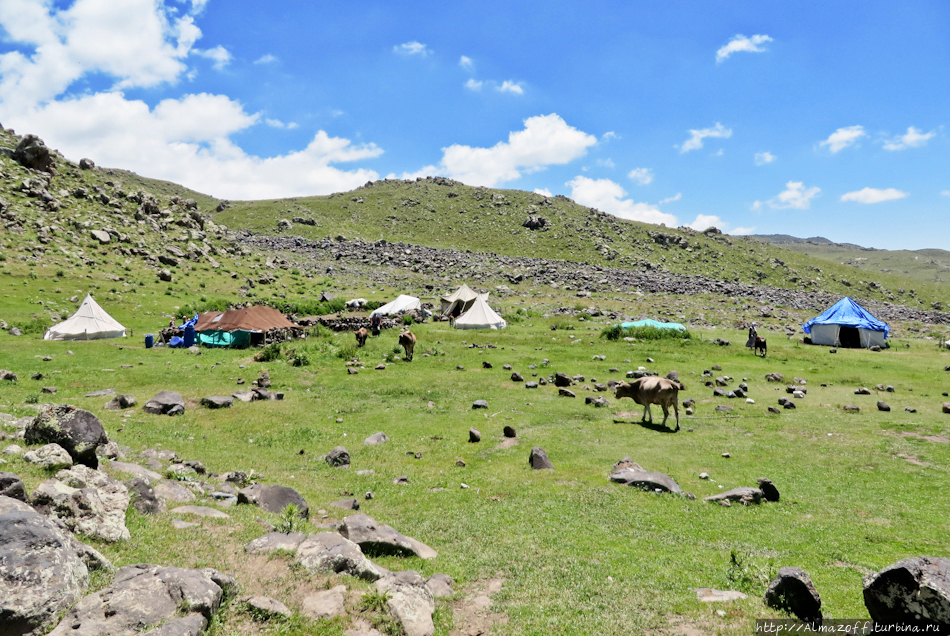 Современные кочевники-курды на склонах Арарата