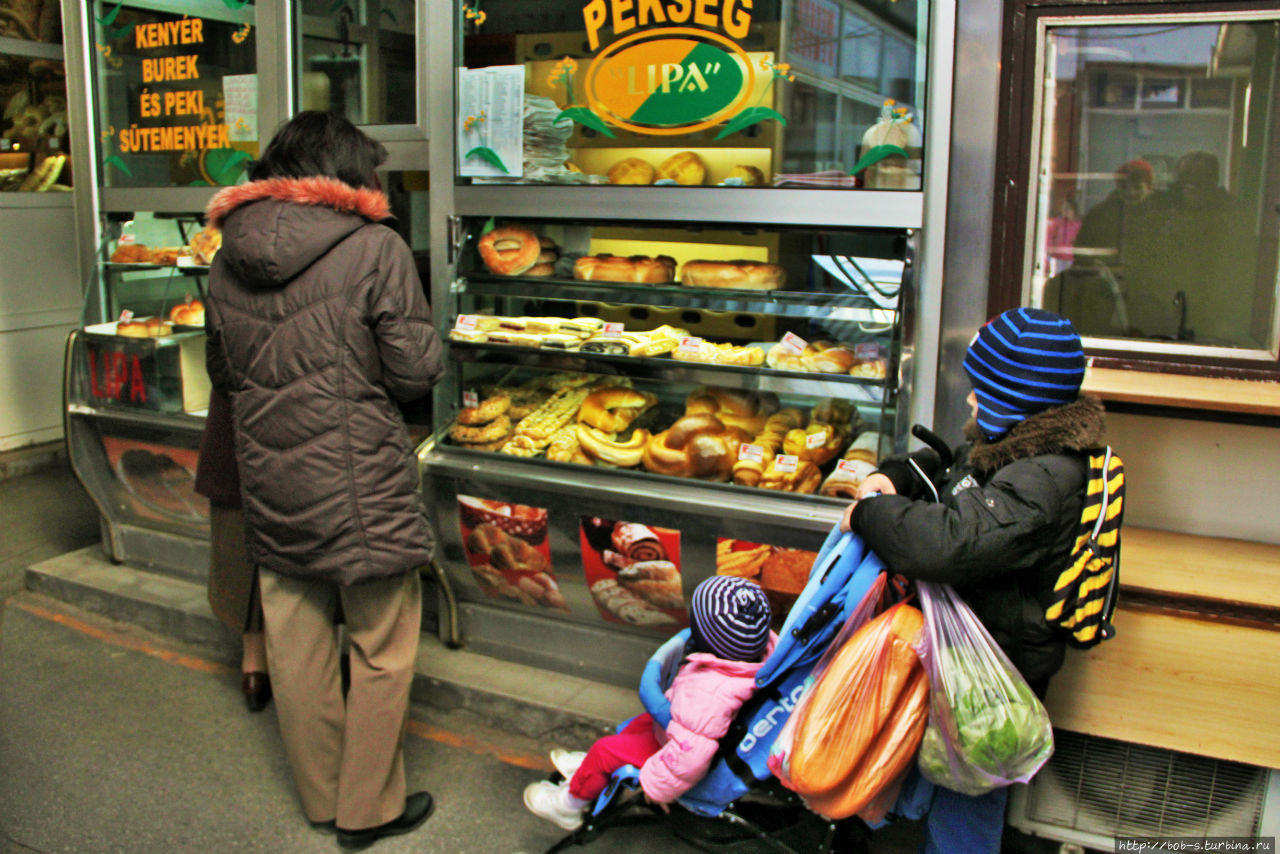 Суботица. Город велосипедистов Суботица, Сербия