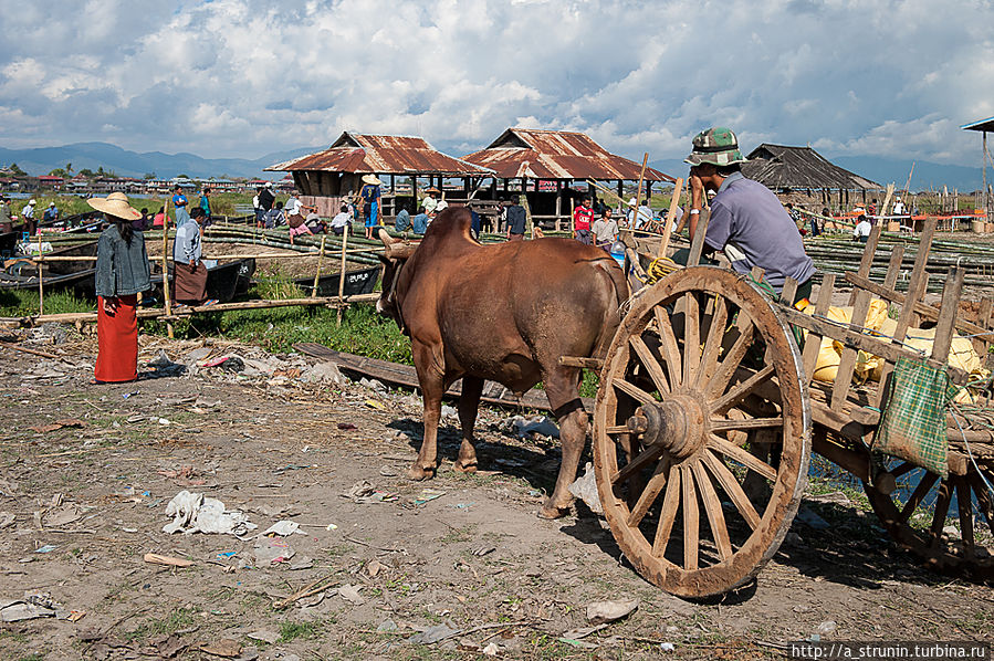 Рынок на воде Озеро Инле, Мьянма