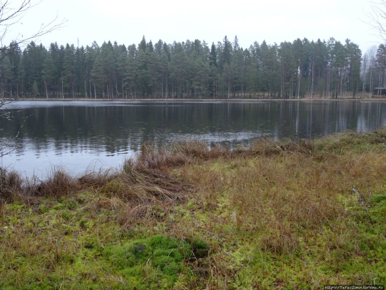 Эхтяри. В гости к хозяевам финского леса Эхтяри, Финляндия
