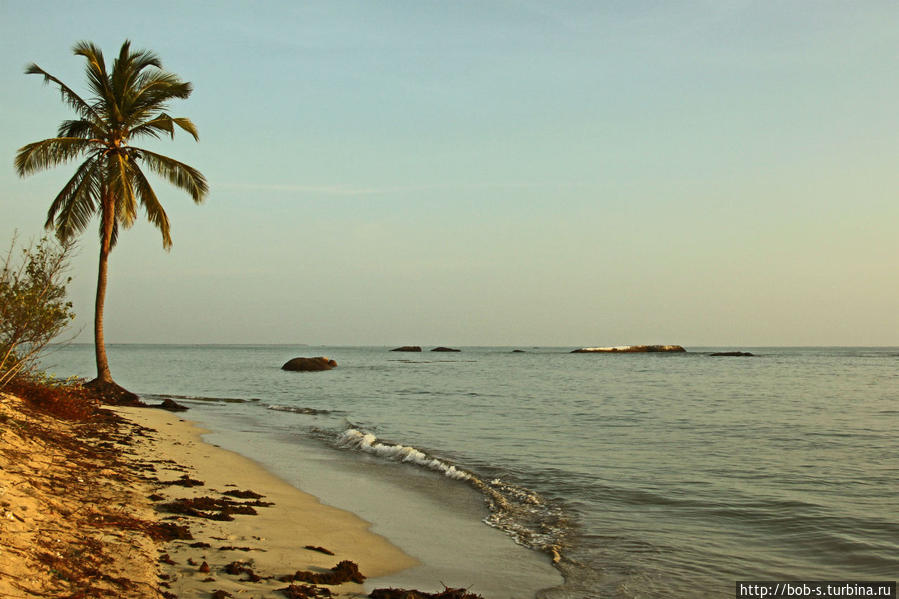 Шри — Ланка. Райский островок. Шри-Ланка