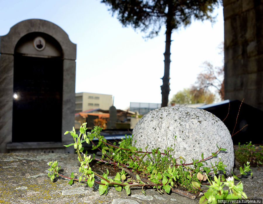 Еврейское кладбище Белград, Сербия