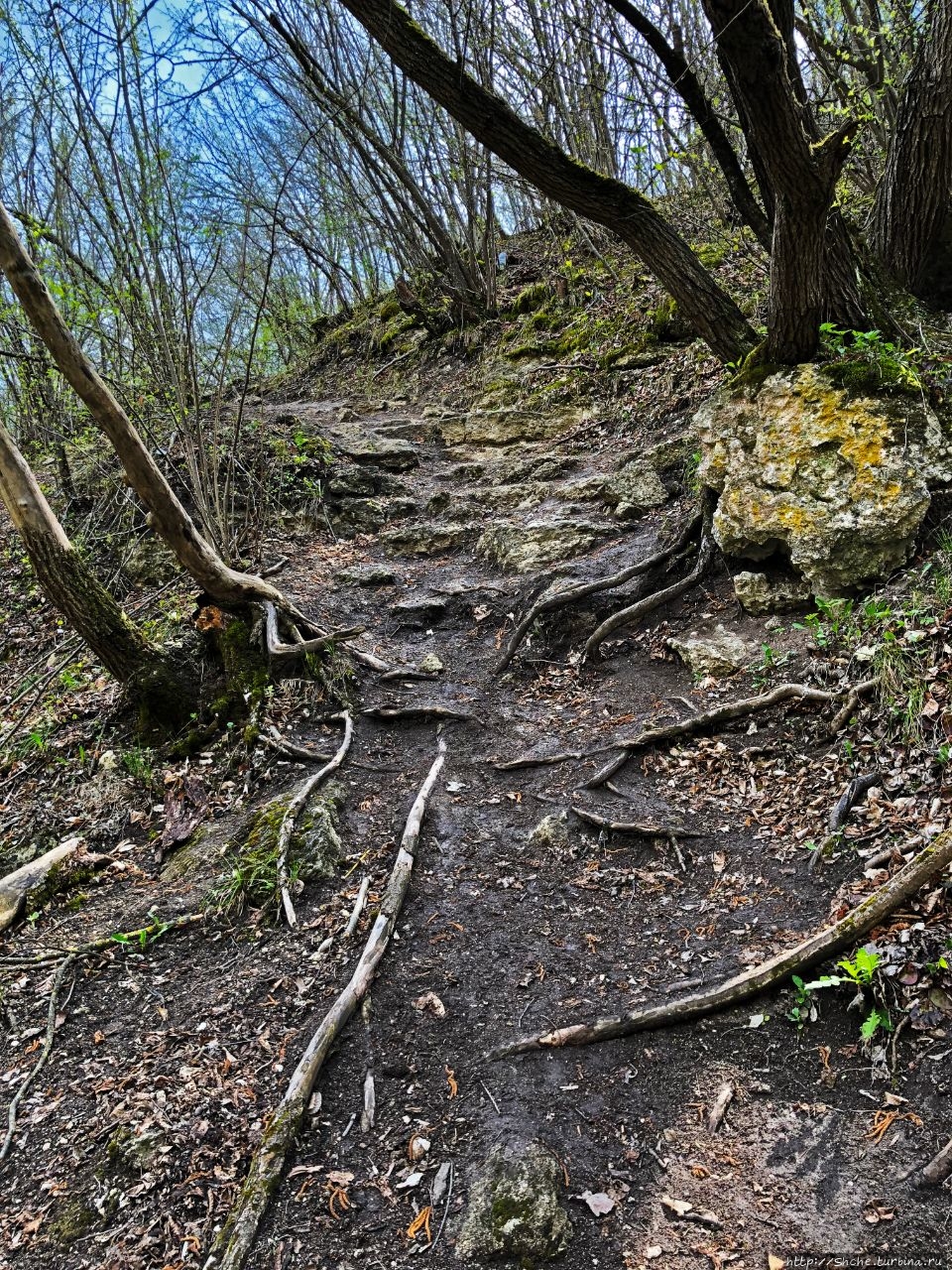 Водопады Сахарна Сахарна, Молдова