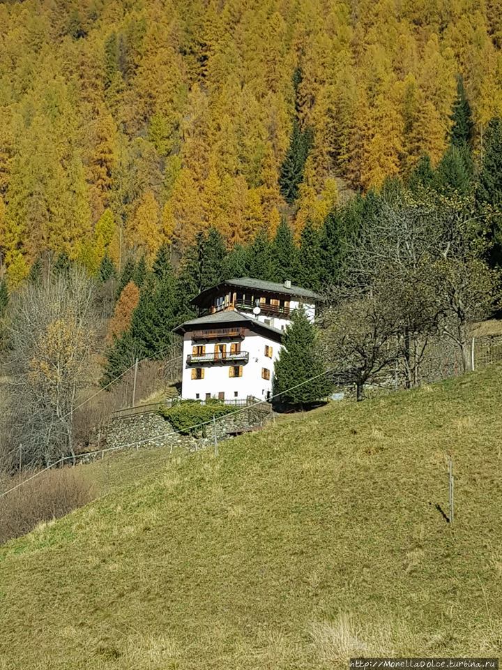 Национальный парк-''Parco Nazionale dello Stelvio'' Стельвио Национальный Парк, Италия