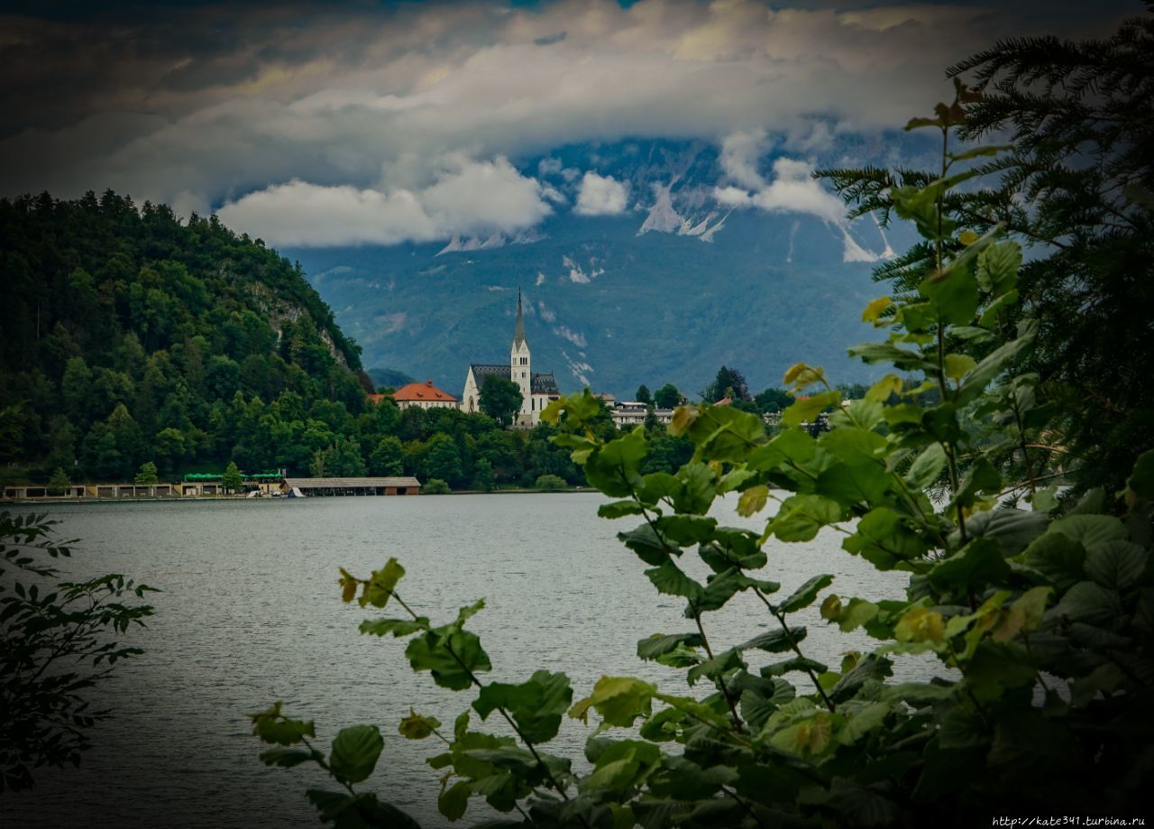 Словения фото природы реальные