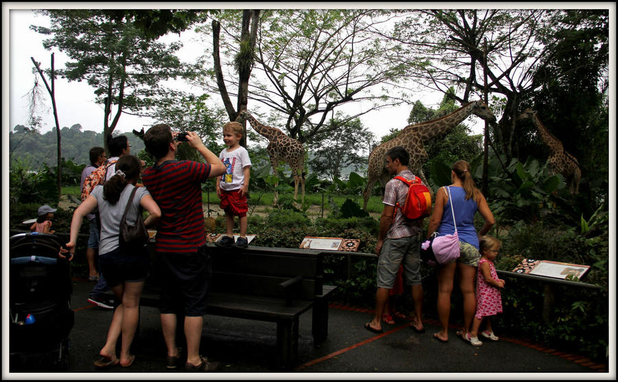 В мире животных или прогулка по зоопарку Мандай Сингапур (город-государство)