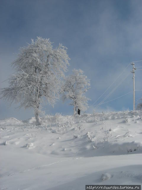 Хажи аул (Хьаьижи -Эвла), ранее село Первомайское Чеченская Республика, Россия