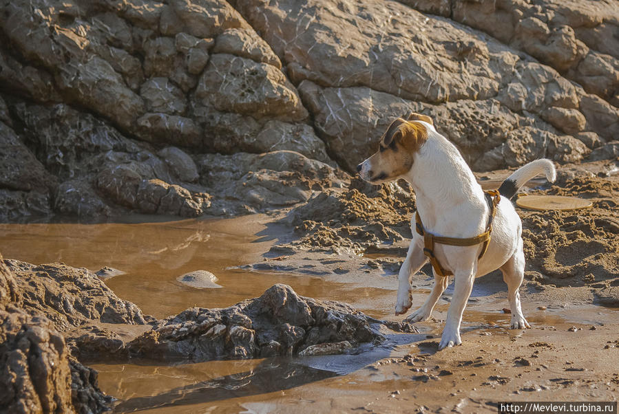 На пляже в Гаррафе Гарраф, Испания
