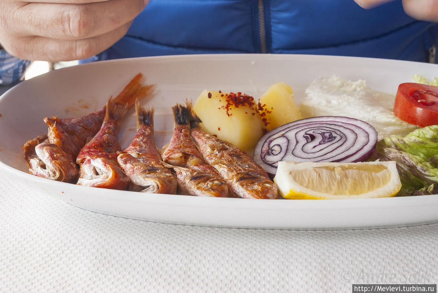 Любимый рыбный ресторан в Стамбуле Стамбул, Турция