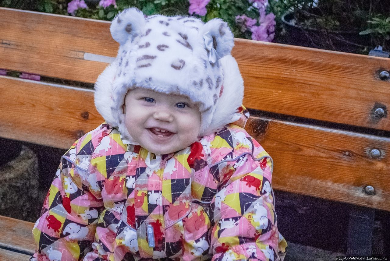 Среди азалий Рига, Латвия