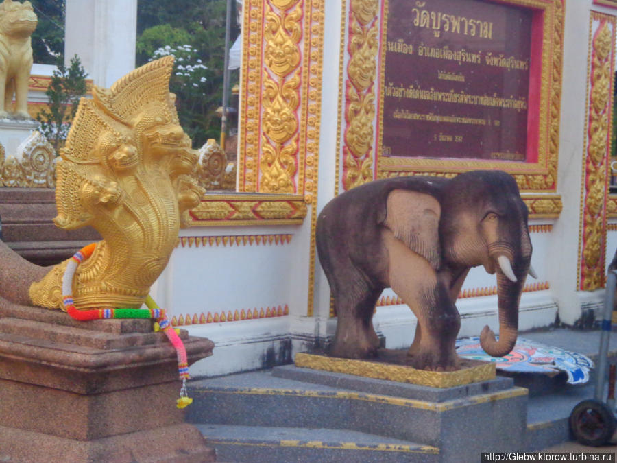 Wat  BuraPharam Сурин, Таиланд