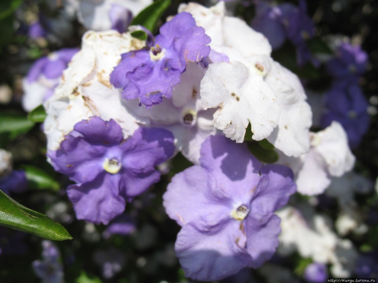 Отель «Protea Hotel O.R. Tambo» Йоханнесбург, ЮАР