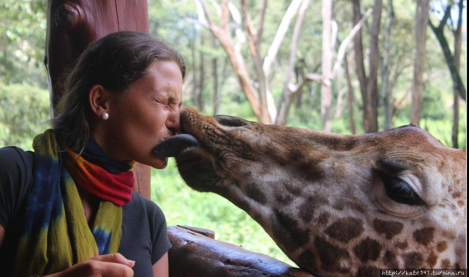 День Рождения в ботаническом саду Букараманга, Колумбия