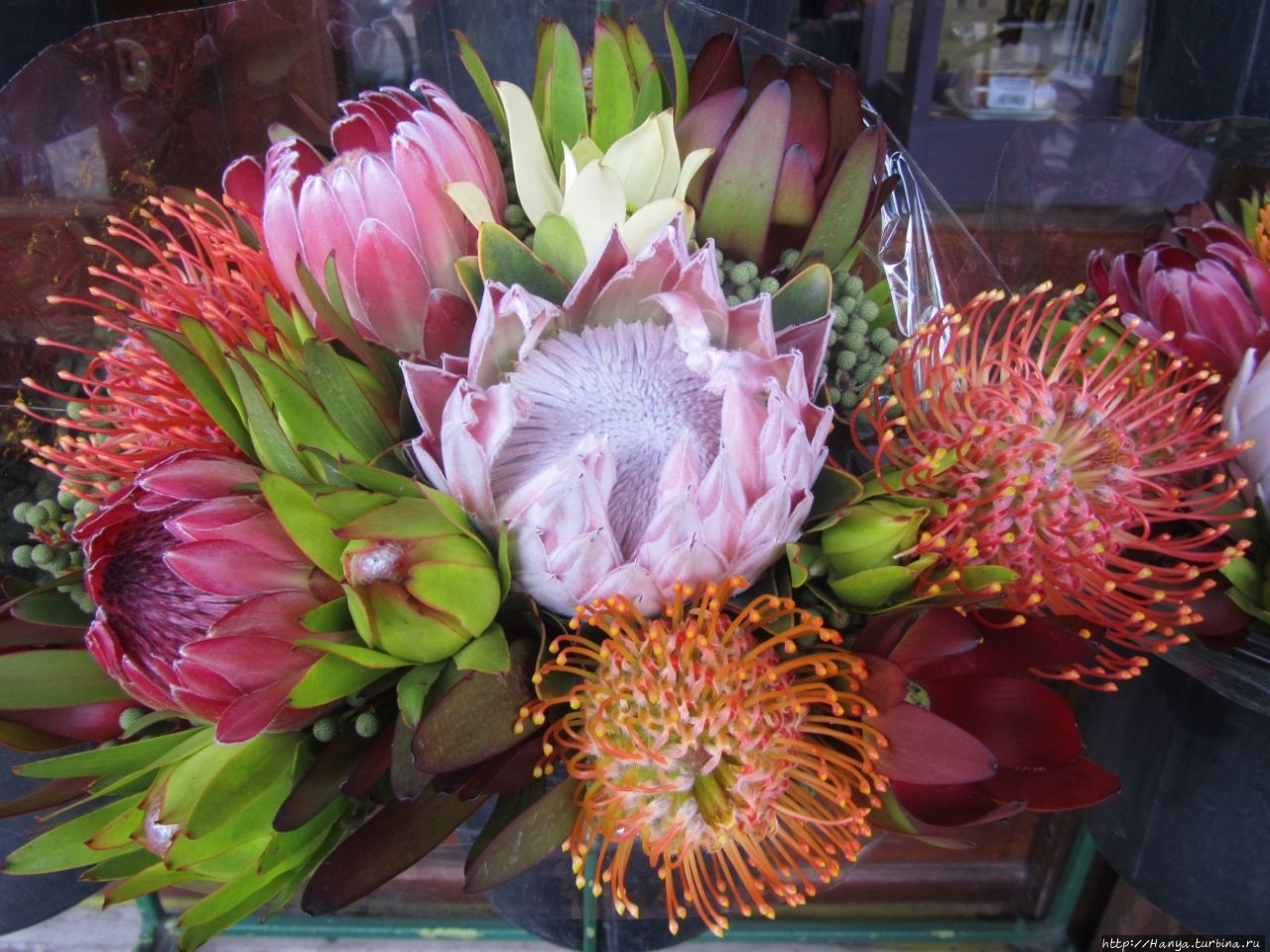 Мост через реку Стормз Порт-Элизабет, ЮАР Мост через реку Стормз Порт-Элизабет, ЮАР