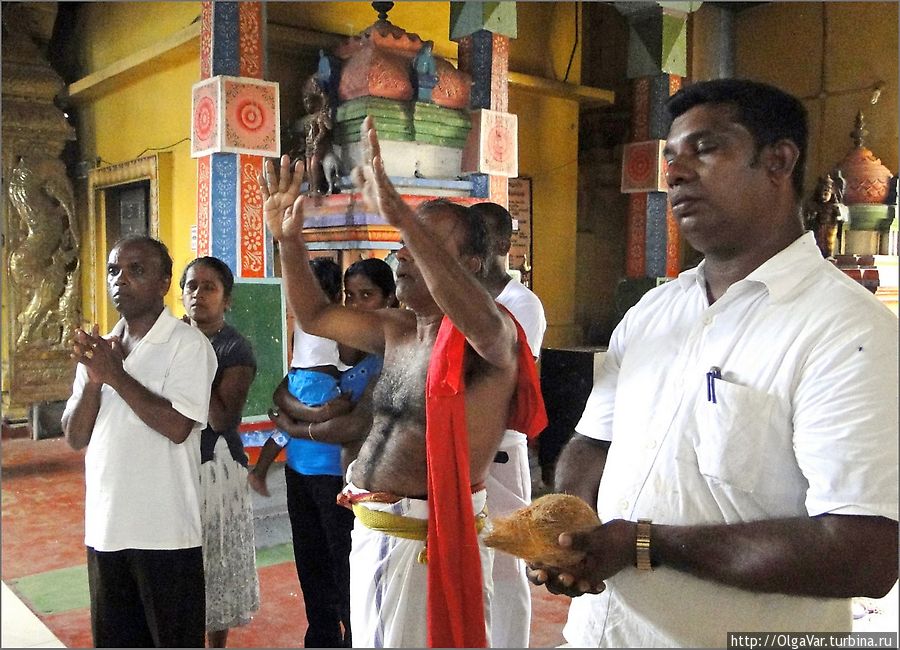 Храмовые ритуалы Тринкомали, или судьбу предсказывает кокос Тринкомали, Шри-Ланка