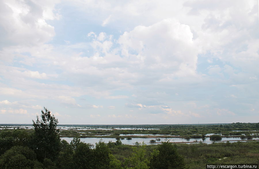 Ну и напоследок, самое главное и долгожданное — разлив Припяти, который можно увидеть если выезжать из Петрикова в сторону Конковичей и Калинковичей(на восток).