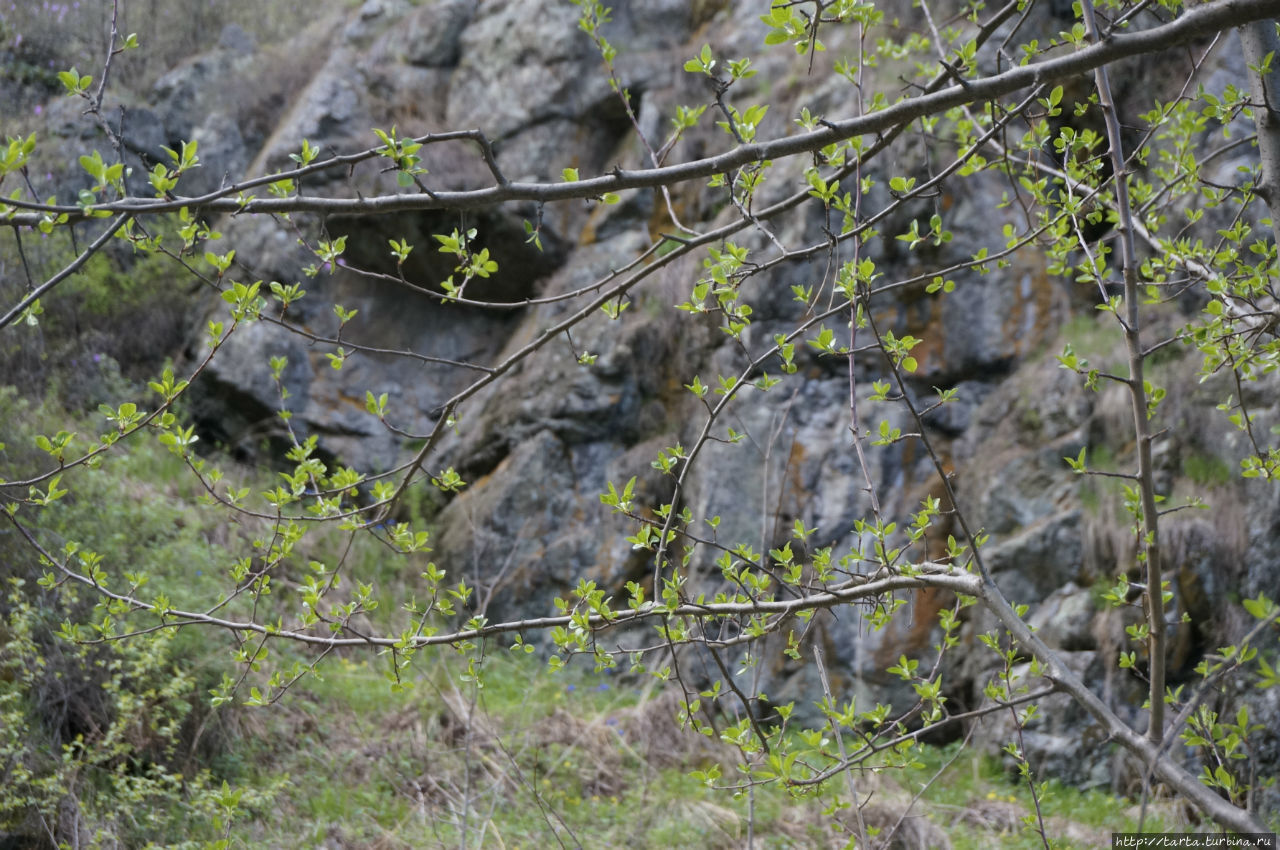 Весна в Горном Алтае. Дорожные зарисовки Республика Алтай, Россия