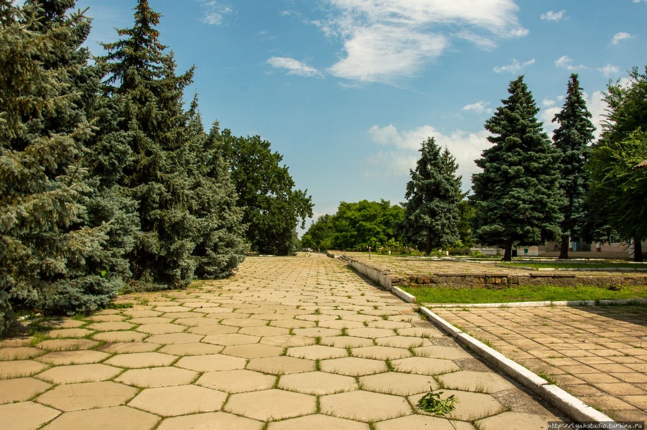 Села степной Херсонщины Преображенка, Украина