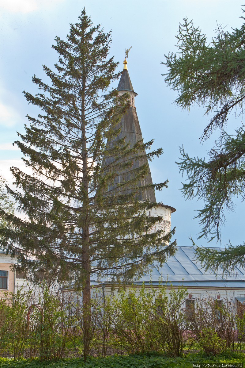 Иосифо-Волоцкий монастырь Волоколамск, Россия