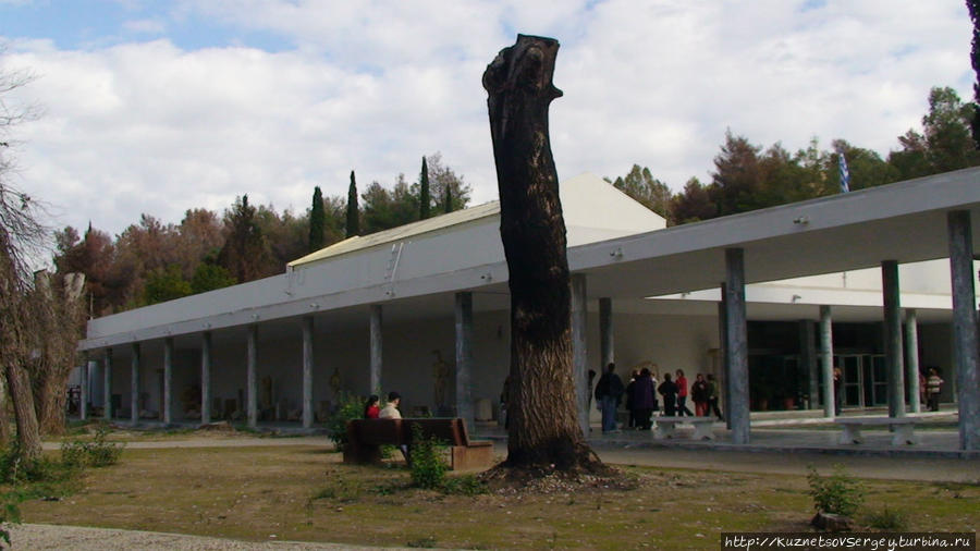 Археологический музей Олимпия, Греция