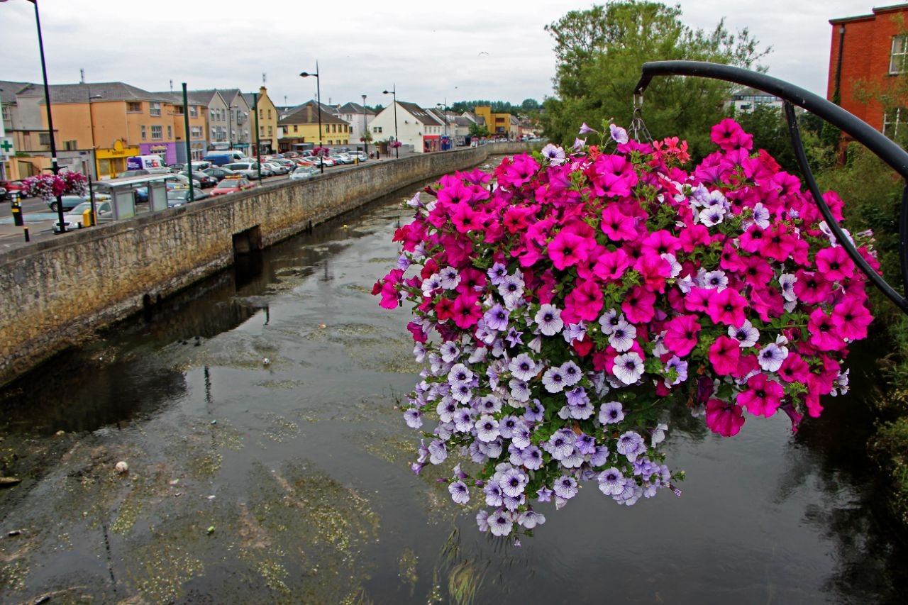 Река Фергес Эннис, Ирландия