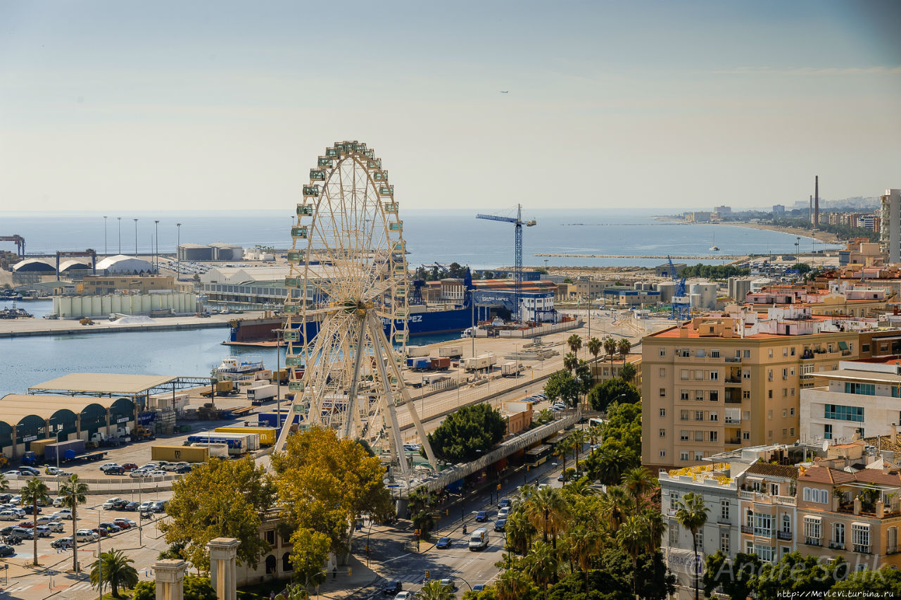 AC Hotel Málaga Palacio Малага, Испания