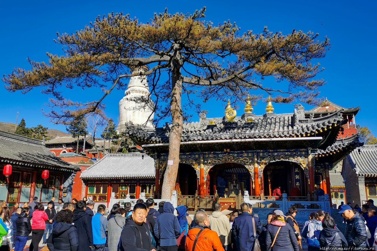 Храм Вуе (Wuye Temple), Утайшань. Священная Гора Утайшань, Китай