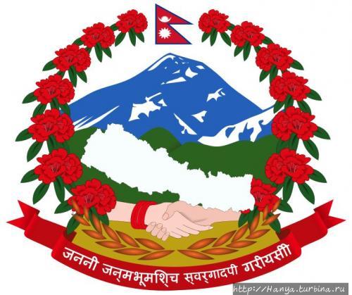 Из интернета Из интернета