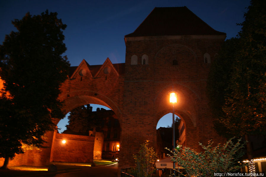 Ночной город и его обитатели Торунь, Польша