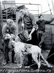 фото из интернета