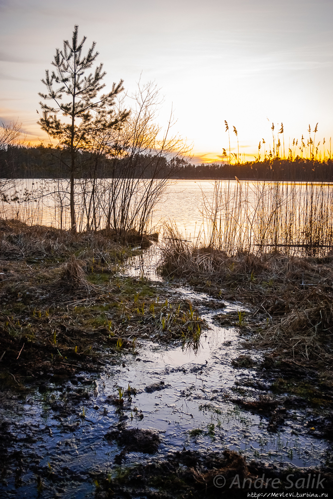 Черное озеро Кемери, Латвия