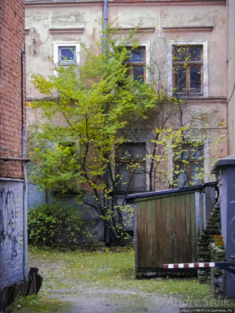 Осенние зарисовки на компактную камеру Рига, Латвия