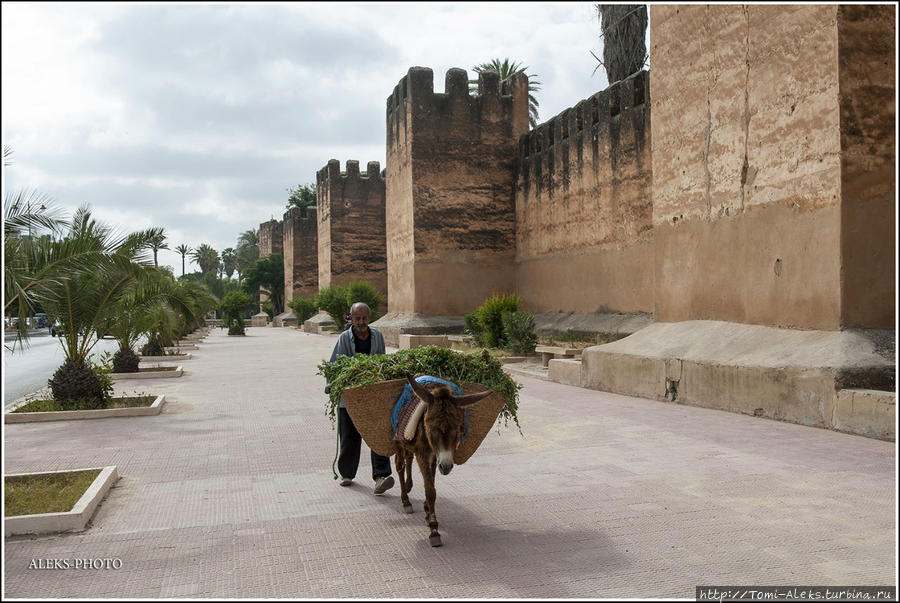 Моя отельная история (часть 2 Марокко) Марокко