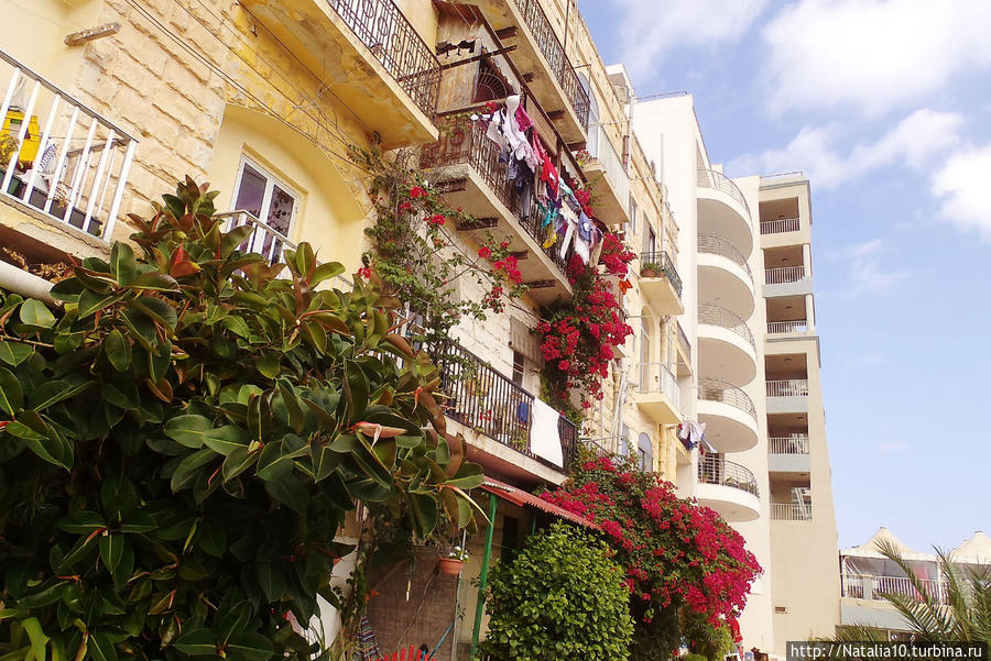 Две недели на Мальте Сент-Джулианс, Мальта