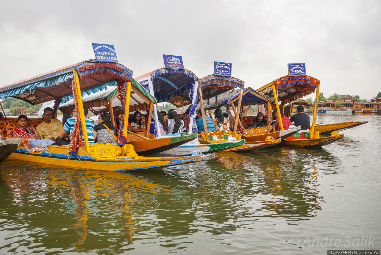 Озеро Дал с утреца Шринагар, Индия