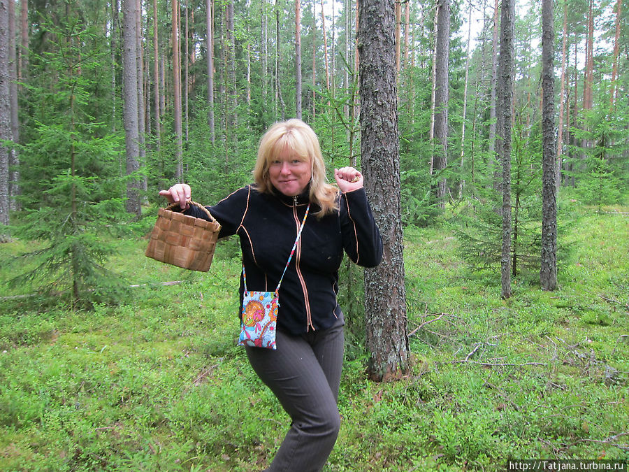 лес -это прелесть Кургальский заказник, Россия